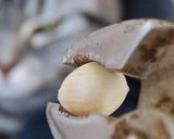 銀杏の炊き込みご飯作り方1写真