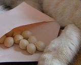 銀杏の炊き込みご飯作り方2写真