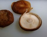 麻婆白菜作り方12写真