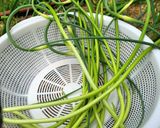 Garlic scape pesto作り方1写真