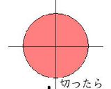 お花畑のちらし寿司作り方5写真