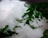 塩窯焼ラム作り方5写真