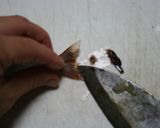 お子様ランチの海老フライ作り方6写真
