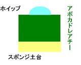 アボカドのレアチーズ作り方6写真