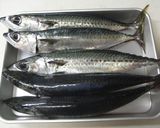 干物を作ろう♪作り方1写真
