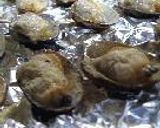 浅蜊ぐりる作り方12写真