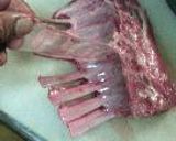ラム・ライムチョップステーキ作り方10写真