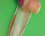 冬瓜と豚肉のクルクル団子作り方3写真
