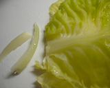 ケチャップ味のロールキャベツ作り方1写真