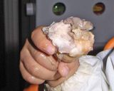 こどもも大好き♥とりのさっぱり煮♪作り方5写真