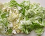 キャベツと鶏胸肉のモリモリおかずサラダ作り方3写真