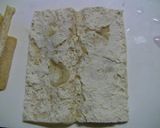 さつまいものきつね巻き作り方1写真