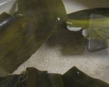ぷるるん☆湯豆腐作り方1写真