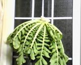 大根葉のちらし寿司作り方1写真