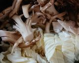 キャベツとマイタケのお味噌汁作り方1写真