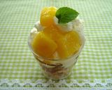チーズアイスケーキ作り方12写真