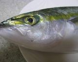 刺し身を作る作り方1写真