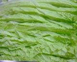 白菜スパゲティー作り方8写真