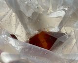 超簡単！絶品！スペアリブ 漬け込み作り方3写真
