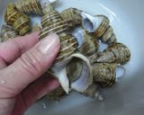 灯台ツブのエスカルゴ風オーブン焼き作り方1写真