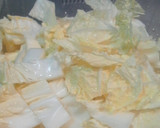 残った白菜消化★　白菜de和風な中華丼作り方1写真