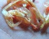 大根しんじょうそら豆餡作り方11写真