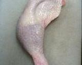 鶏ももでがらんちん。作り方1写真