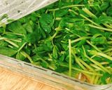 簡単おかず☆豆苗とえのきのレンチン浸し作り方3写真