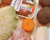 冷蔵庫の残りでさっぱりごった煮作り方1写真