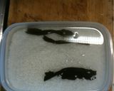 大根菜ご飯作り方2写真