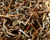 ゼンマイと干し椎茸の炊き合わせ作り方1写真