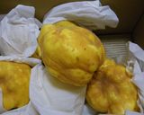 花梨（マルメロ）の砂糖漬け＊お茶請け作り方1写真