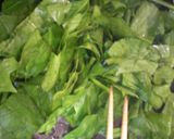 ほうれん草★★★＆卵作り方1写真