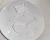 夏に低コストで作れるはちみつレモン氷作り方1写真