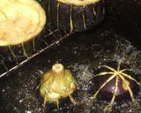 米ナスの器でグラタン作り方7写真