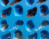 テンパるチョコ作り方1写真