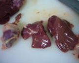 塩麹さんで～鶏レバーのオイル漬け作り方1写真