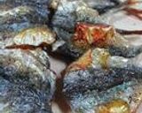 小鯵のオーブン焼き作り方9写真