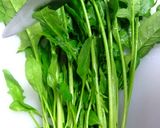 電子レンジ蒸白菜にツナマヨ作り方4写真