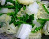 電子レンジ蒸白菜にツナマヨ作り方8写真