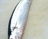 秋刀魚ﾜﾝﾀﾝ揚げ作り方8写真