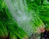 大根とほうれん草のパスタ風作り方8写真