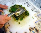 わさび葉のおひたし作り方3写真