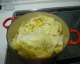 調味料は塩だけ!白菜と豚肉のとろとろ煮。作り方1写真