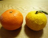 洋にんじんの簡単サラダ作り方5写真