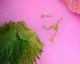 簡単１品★鶏ささみの梅しそチーズ巻き！作り方4写真