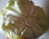 ご馳走日のロールキャベツ✿作り方1写真
