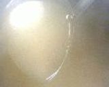 鯛茶！作り方11写真