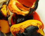 タコマリネ　（クリスマスのアペタイザー）作り方1写真