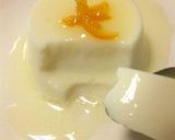 簡単★ダイエットふるふるヨーグルトゼリー作り方17写真